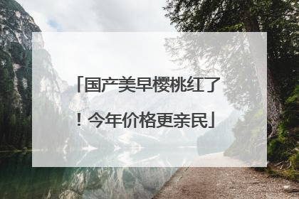 国产美早樱桃红了！今年价格更亲民