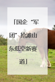 国企“军团”抢滩山东低空新赛道