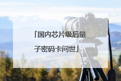 国内芯片级后量子密码卡问世
