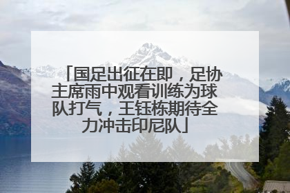 国足出征在即，足协主席雨中观看训练为球队打气，王钰栋期待全力冲击印尼队