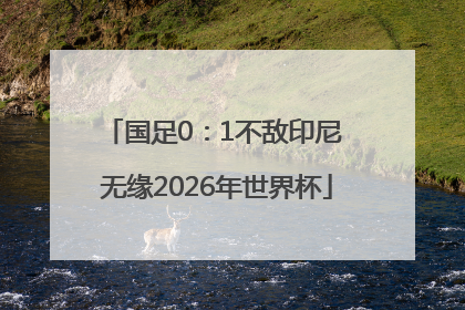 国足0：1不敌印尼 无缘2026年世界杯