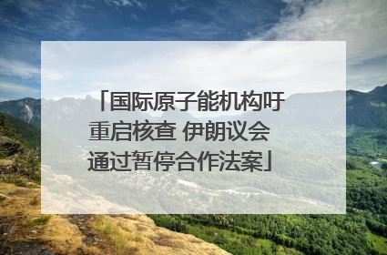 国际原子能机构吁重启核查 伊朗议会通过暂停合作法案