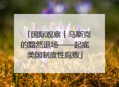 国际观察丨马斯克的黯然退场——起底美国制度性腐败