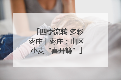 四季流转 多彩枣庄｜枣庄：山区小麦“喜开镰”
