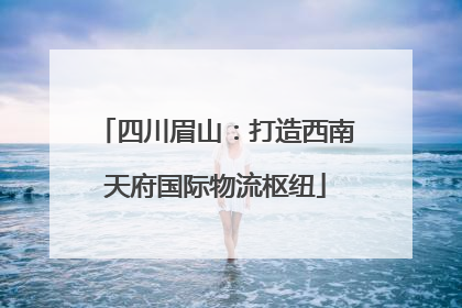 四川眉山：打造西南天府国际物流枢纽