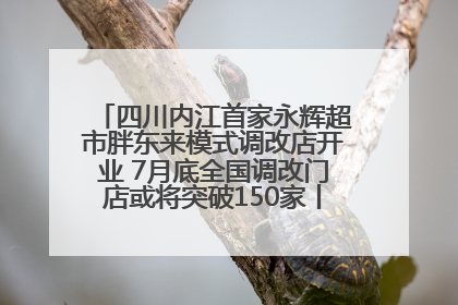 四川内江首家永辉超市胖东来模式调改店开业 7月底全国调改门店或将突破150家丨新经济观察