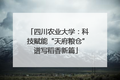四川农业大学：科技赋能“天府粮仓”谱写稻香新篇
