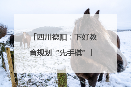 四川德阳：下好教育规划“先手棋”