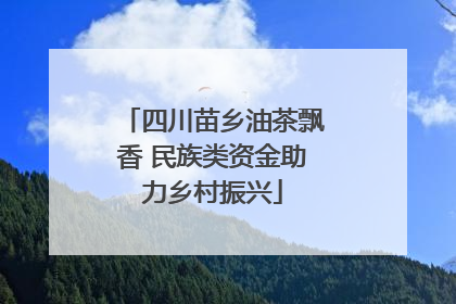 四川苗乡油茶飘香 民族类资金助力乡村振兴