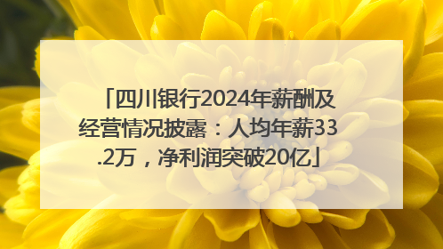 四川银行2024年薪酬及经营情况披露：人均年薪33.2万，净利润突破20亿