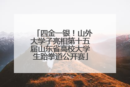 四金一银！山外大学子亮相第十五届山东省高校大学生跆拳道公开赛