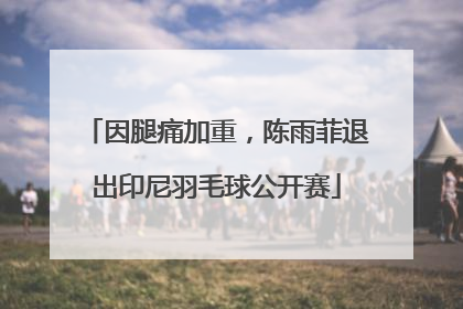 因腿痛加重，陈雨菲退出印尼羽毛球公开赛