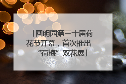 圆明园第三十届荷花节开幕，首次推出“荷梅”双花展