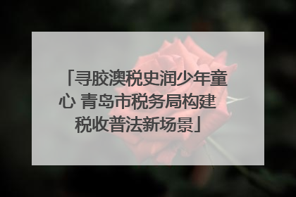 寻胶澳税史润少年童心 青岛市税务局构建税收普法新场景
