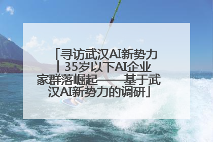 寻访武汉AI新势力︱35岁以下AI企业家群落崛起——基于武汉AI新势力的调研