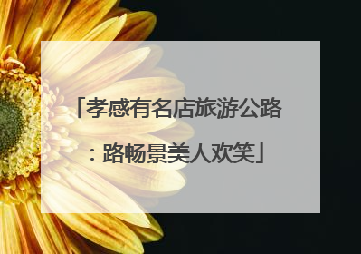 孝感有名店旅游公路：路畅景美人欢笑
