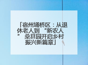 宿州埇桥区：从退休老人到 “新农人” 桑葚园开启乡村振兴新篇章