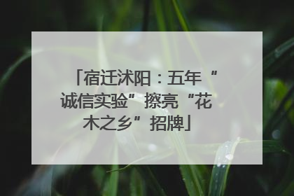 宿迁沭阳：五年“诚信实验”擦亮“花木之乡”招牌