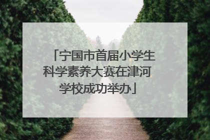 宁国市首届小学生科学素养大赛在津河学校成功举办