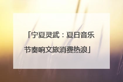 宁夏灵武：夏日音乐节奏响文旅消费热浪