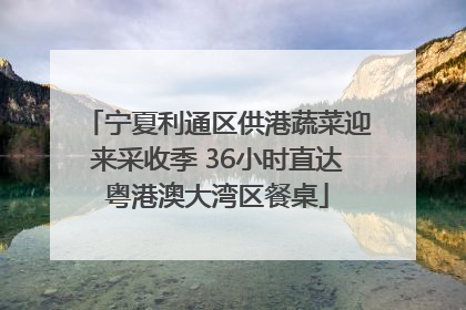 宁夏利通区供港蔬菜迎来采收季 36小时直达粤港澳大湾区餐桌
