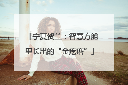 宁夏贺兰：智慧方舱里长出的“金疙瘩”