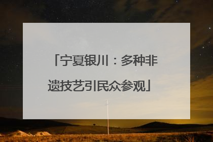 宁夏银川：多种非遗技艺引民众参观