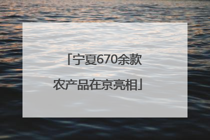 宁夏670余款农产品在京亮相