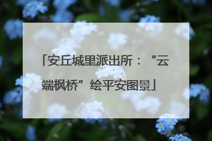 安丘城里派出所：“云端枫桥”绘平安图景