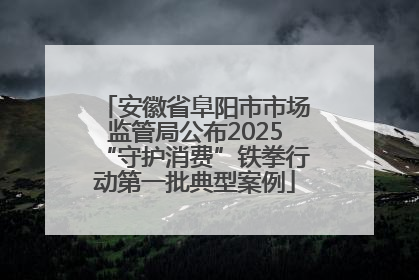 安徽省阜阳市市场监管局公布2025“守护消费”铁拳行动第一批典型案例