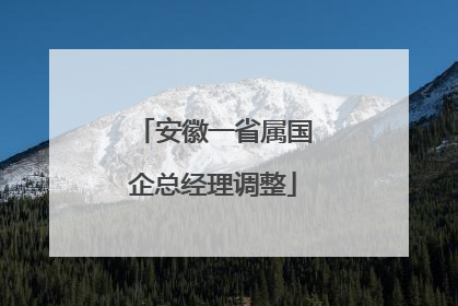 安徽一省属国企总经理调整