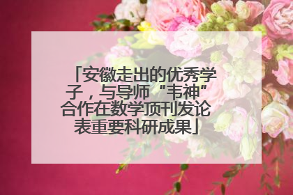 安徽走出的优秀学子，与导师“韦神”合作在数学顶刊发论表重要科研成果