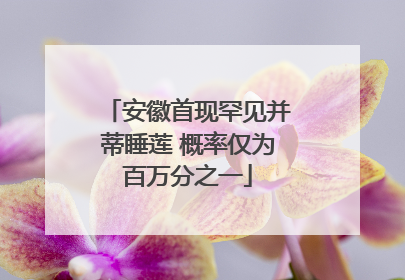 安徽首现罕见并蒂睡莲 概率仅为百万分之一
