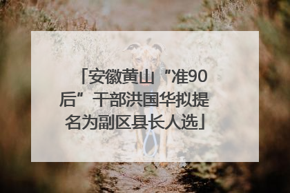 安徽黄山“准90后”干部洪国华拟提名为副区县长人选