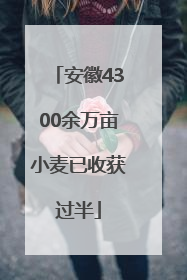 安徽4300余万亩小麦已收获过半