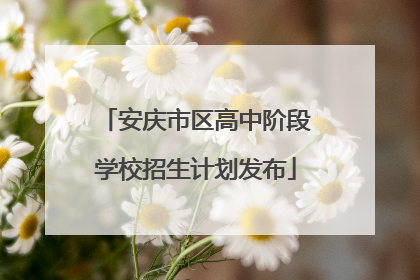 安庆市区高中阶段学校招生计划发布