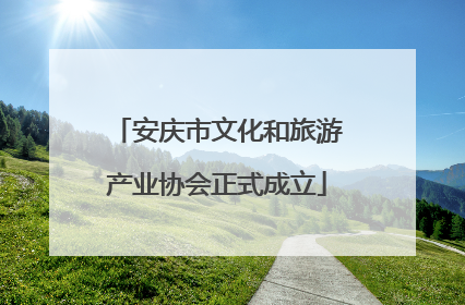 安庆市文化和旅游产业协会正式成立