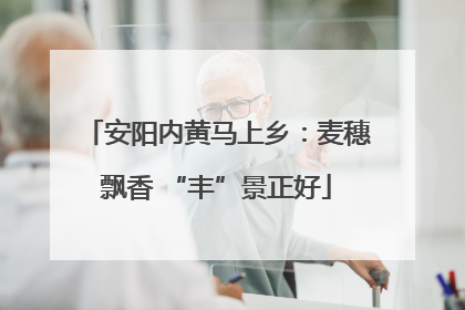 安阳内黄马上乡：麦穗飘香 “丰”景正好