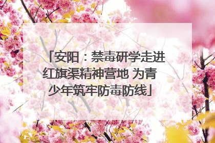 安阳：禁毒研学走进红旗渠精神营地 为青少年筑牢防毒防线