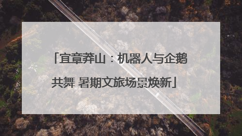 宜章莽山：机器人与企鹅共舞 暑期文旅场景焕新