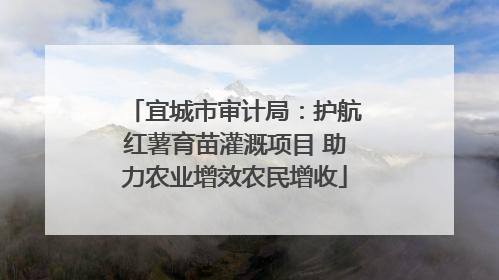 宜城市审计局：护航红薯育苗灌溉项目 助力农业增效农民增收