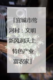 宜城市莺河村：文明新风润沃土 特色产业富农家