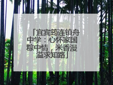 宜宾筠连镇舟中学：心怀家国粽中情，米香漫溢求知路