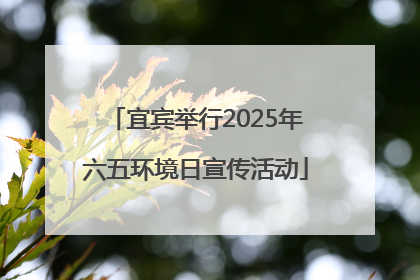 宜宾举行2025年六五环境日宣传活动