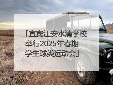 宜宾江安水清学校举行2025年春期学生球类运动会