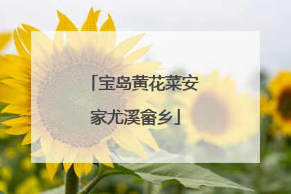 宝岛黄花菜安家尤溪畲乡