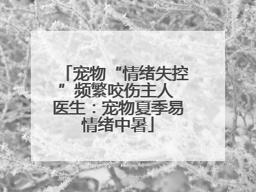 宠物“情绪失控”频繁咬伤主人 医生：宠物夏季易情绪中暑