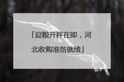 夏粮开秤在即，河北收购准备就绪