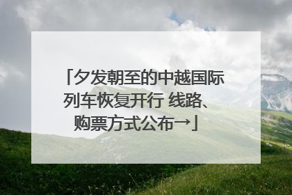夕发朝至的中越国际列车恢复开行 线路、购票方式公布→