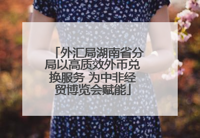 外汇局湖南省分局以高质效外币兑换服务 为中非经贸博览会赋能